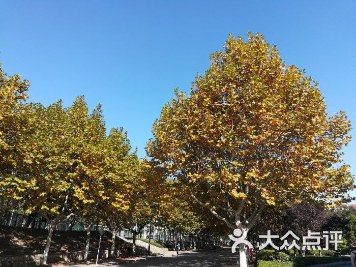 江苏师范大学(泉山校区)图片 第6张