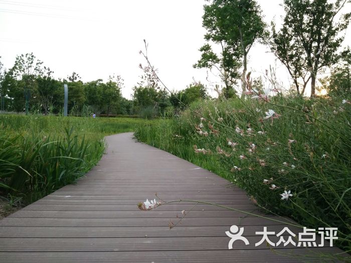 罗塘公园-图片-姜堰区周边游-大众点评网