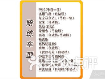 汽车陪练排名_汽车陪练(3)