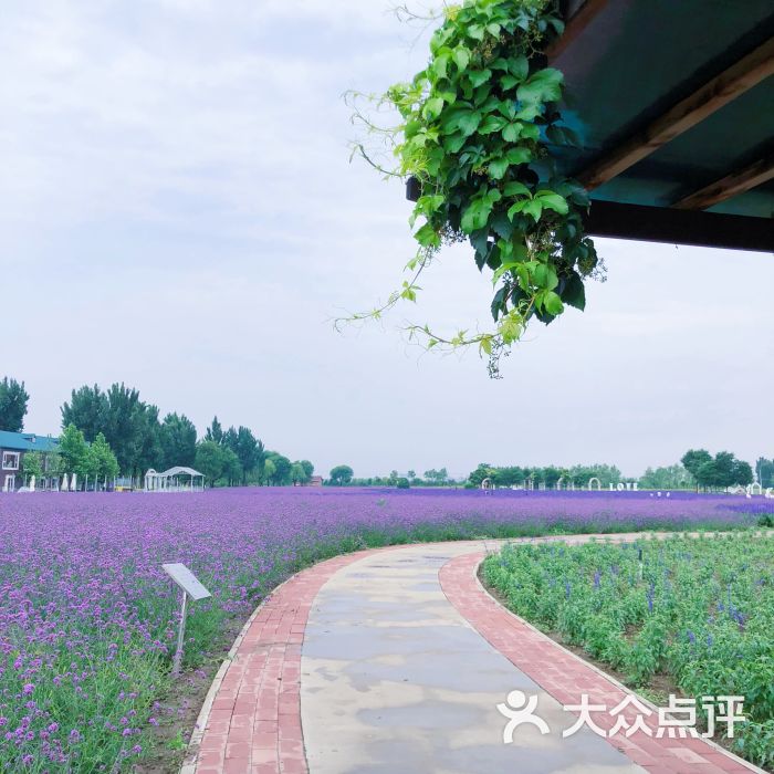 首农·紫谷伊甸园图片 - 第1张