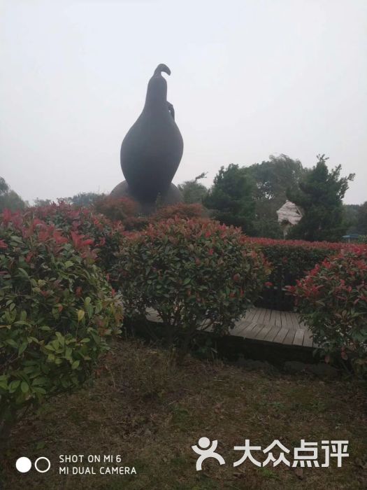 太平葫芦岛芙蓉生态园图片 - 第3张