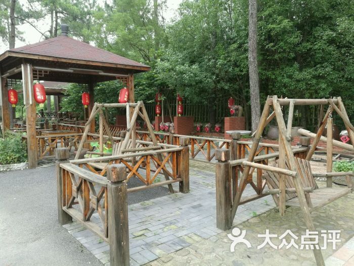 竹中驿农家餐馆-秋千和亭子图片-安吉县美食-大