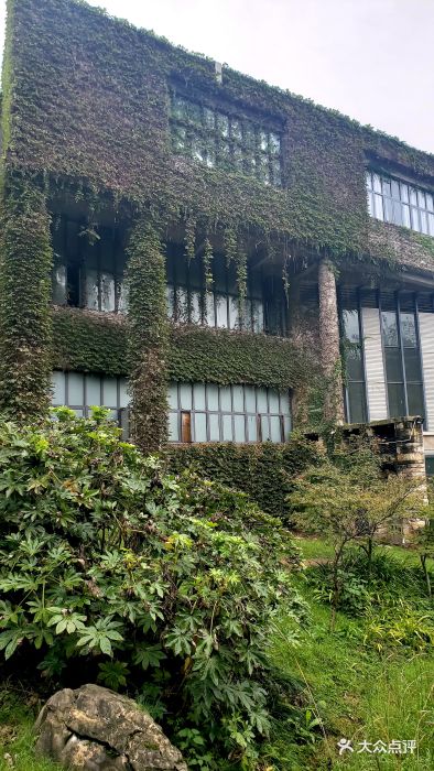 四川美术学院(大学城校区-图片-重庆学习培训-大众点评网