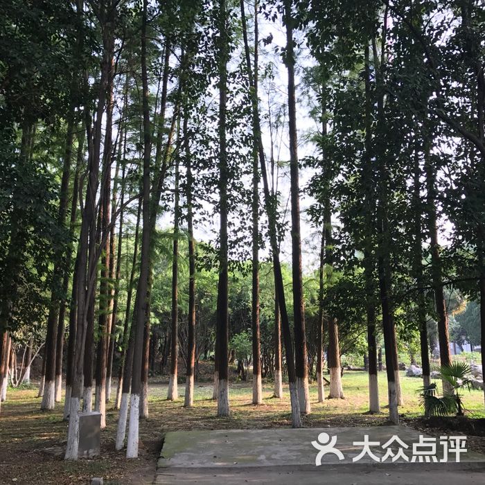 南京古林公园