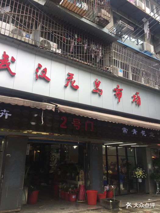 武汉花鸟市场图片 第22张