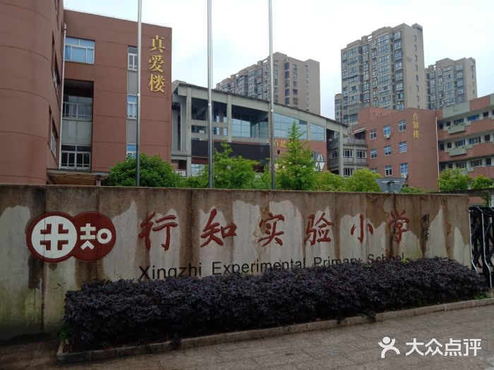 行知实验小学-图片-宁波学习培训-大众点评网