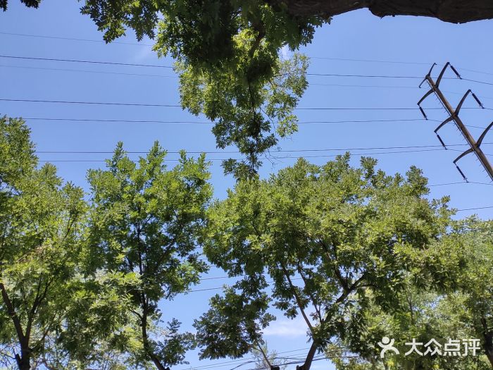 河北中医学院(橘泉校区)图片