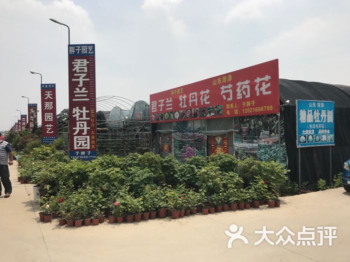 华夏花卉-图片-如皋市购物-大众点评网