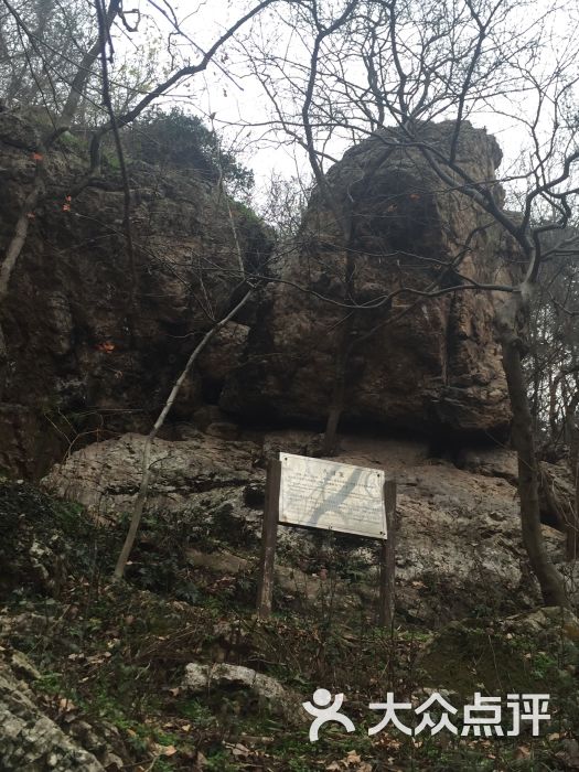 金牛山风景区-图片-南京周边游-大众点评网