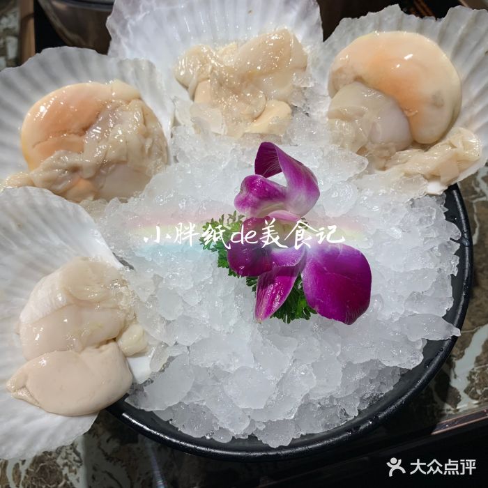 就是泰just thai泰式火锅(长寿路店)扇贝图片 - 第3475张