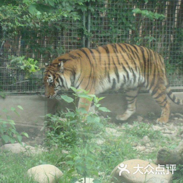 上海动物园