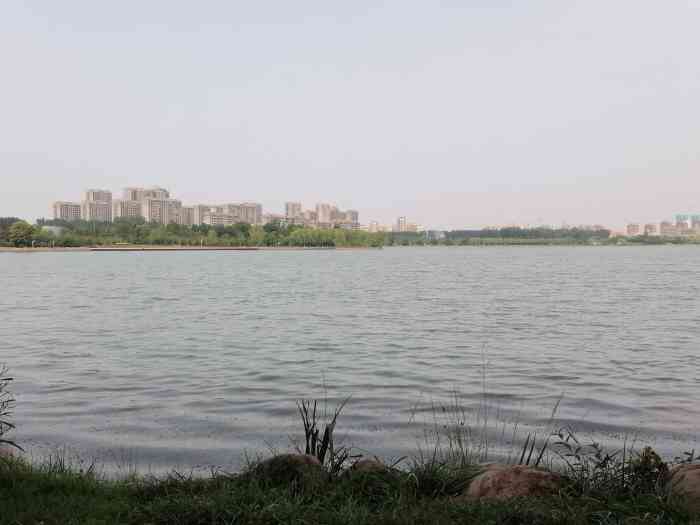 凤湖景区-"凤湖生态公园位于黄河北岸原阳平原新区.过