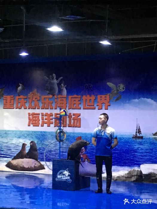 重庆欢乐海底世界图片 第54张