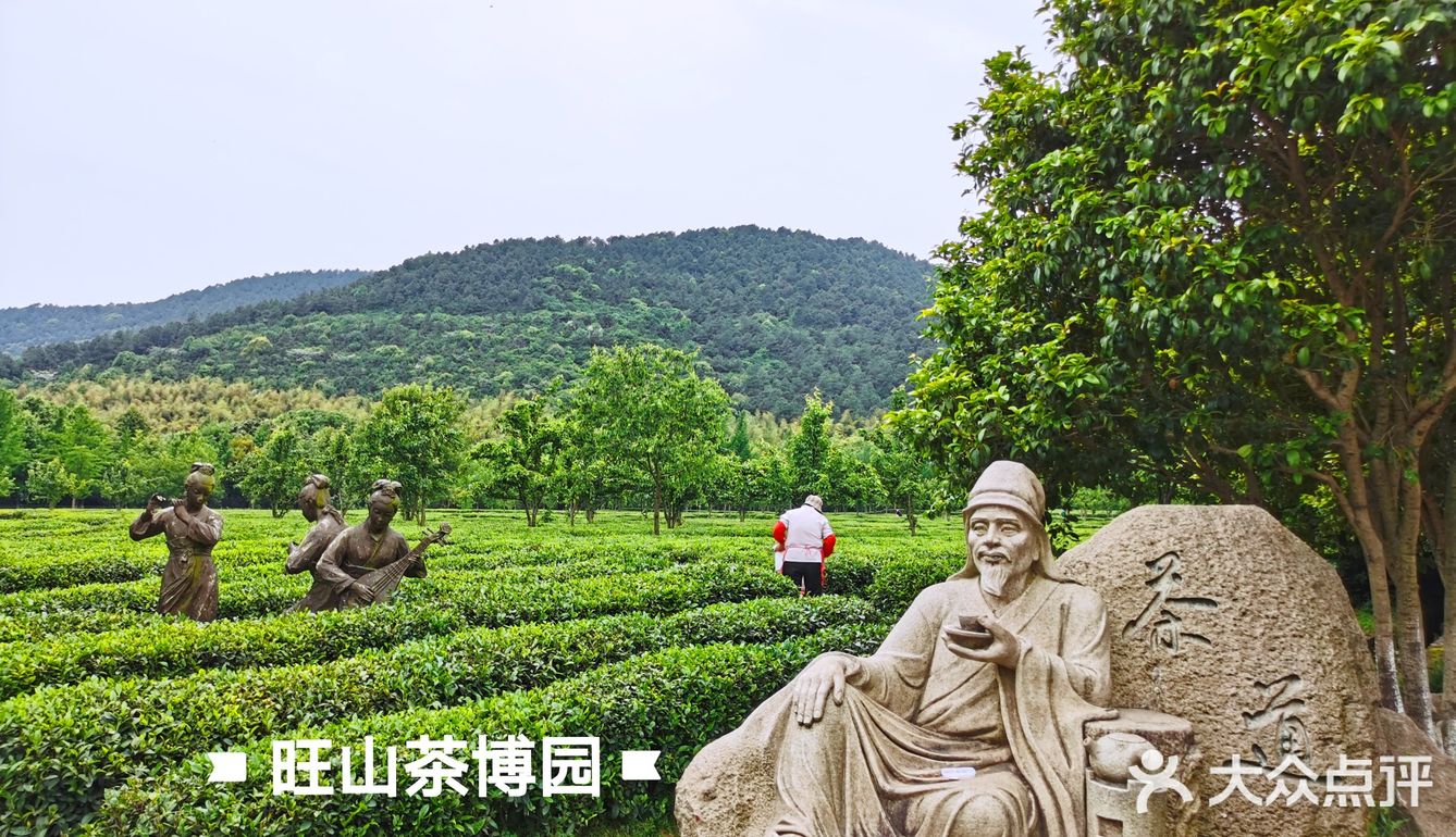 旺山茶博园,位于旺山风景区内,旺山绿茶是太湖地区有名