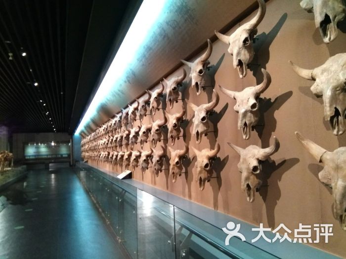大庆博物馆图片 - 第4张
