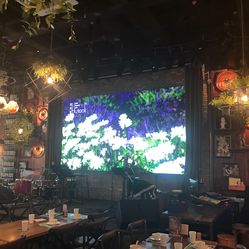 胡桃里人均消费_胡桃里图片(2)