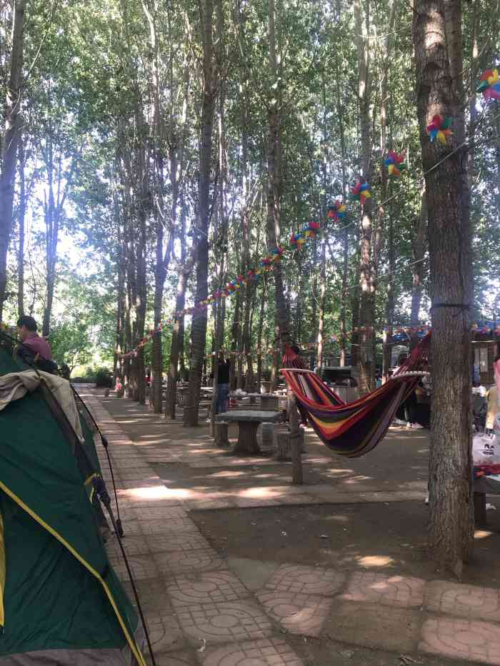 鹊华烟雨森林烧烤区-"自助烧烤,玩嗨了这个夏天,济南黄河烧烤一.