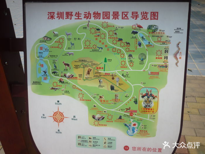 深圳野生动物园图片 - 第74张