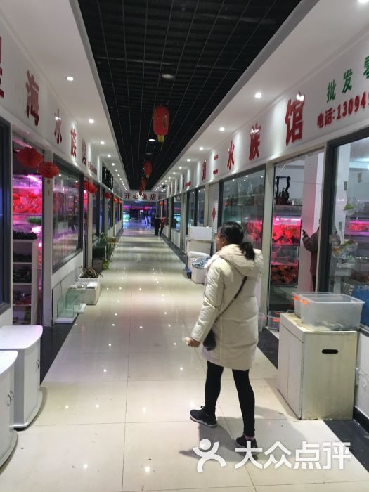 镇江花鸟市场图片 - 第2张