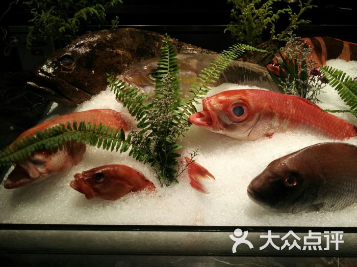 海钓鱻海钓体验餐厅-深海鱼火锅图片 - 第57张
