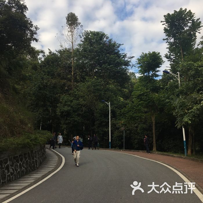 火炉山森林公园