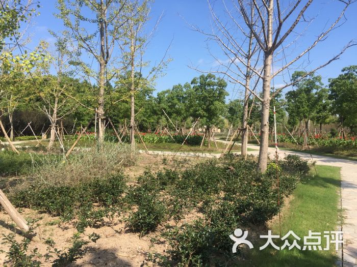 康桥生态园沔青绿地图片 - 第59张