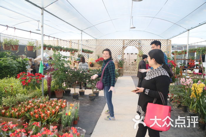 龙大花卉市场-图片-上海景点-大众点评网