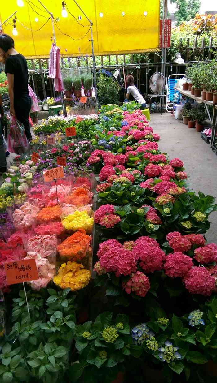 建国假日花市-"我一直以来都很热爱莳花弄草,不管是闲