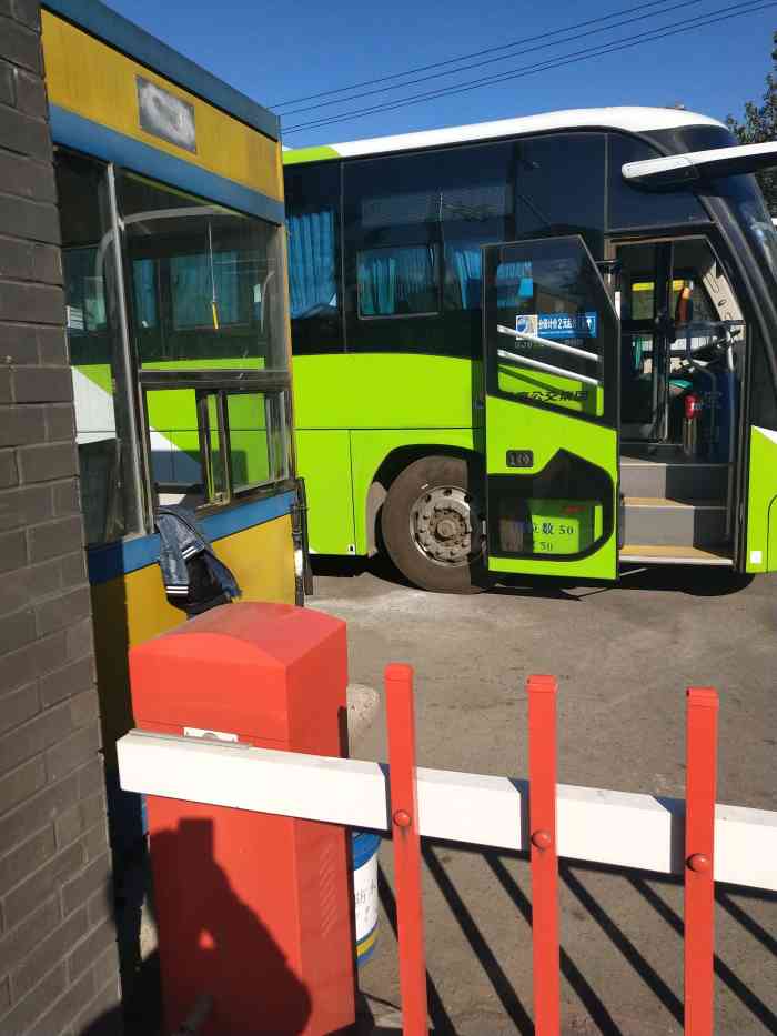 943路公交车-"943对员工应该严谨一点,特别是赵晶晶太