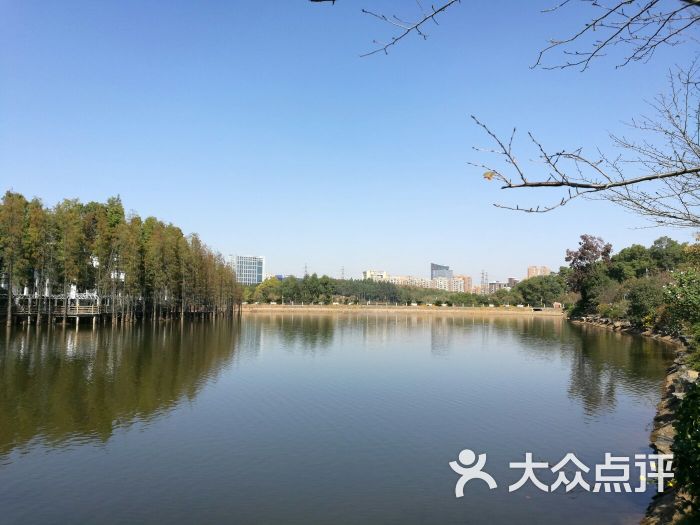 樱花湖
