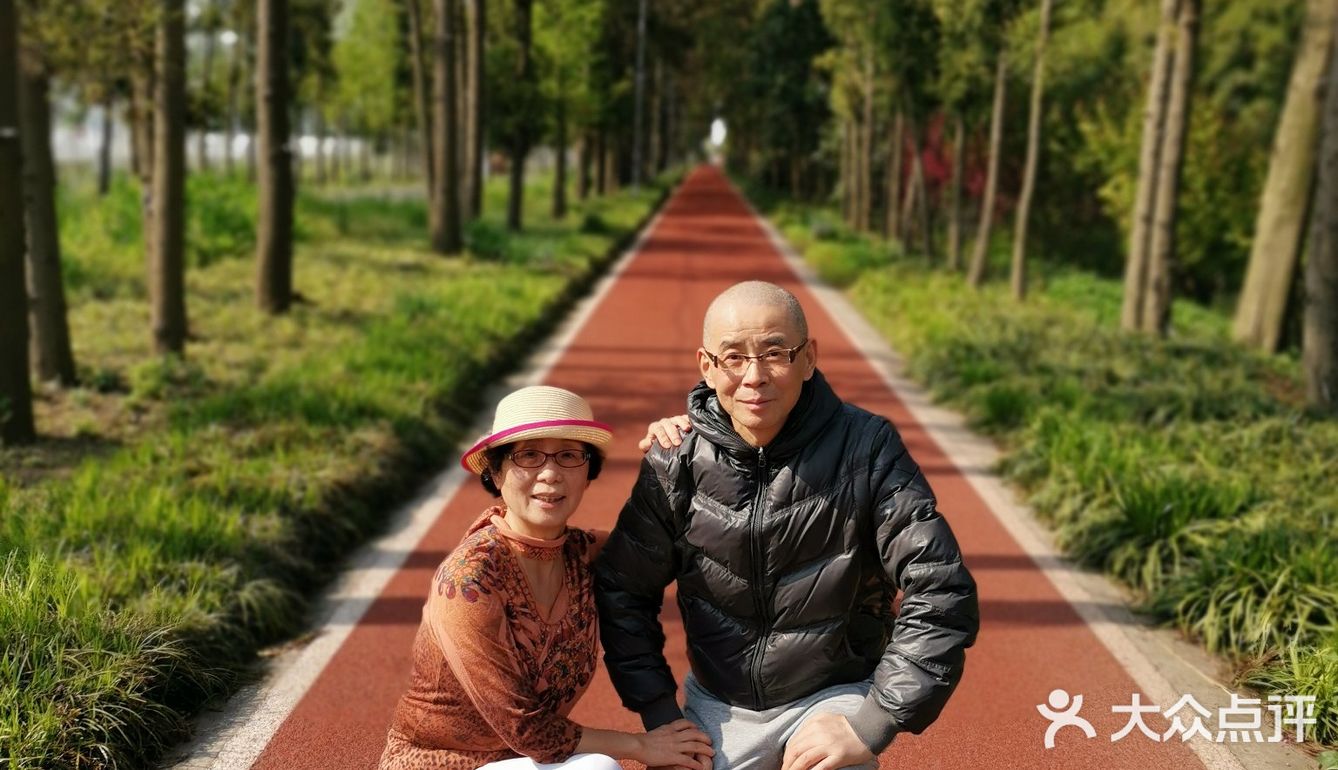 郊野公园免门票公园很大坐电瓶车三十元一人兜一圈