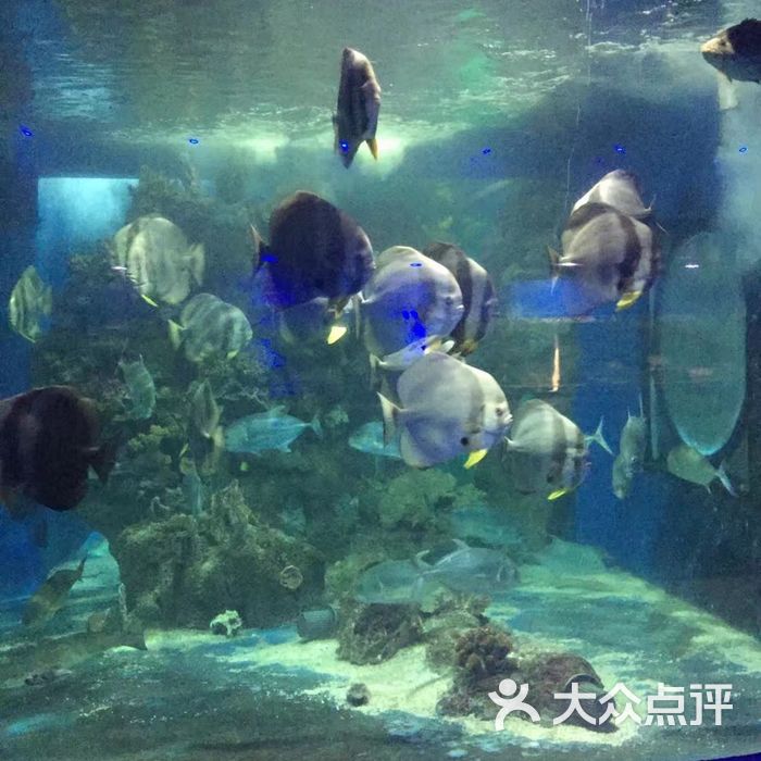 龙背山森林公园