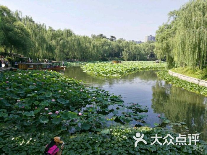 紫御湾码头图片 - 第3张