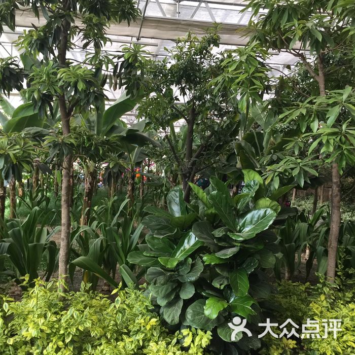 南宫五洲植物乐园