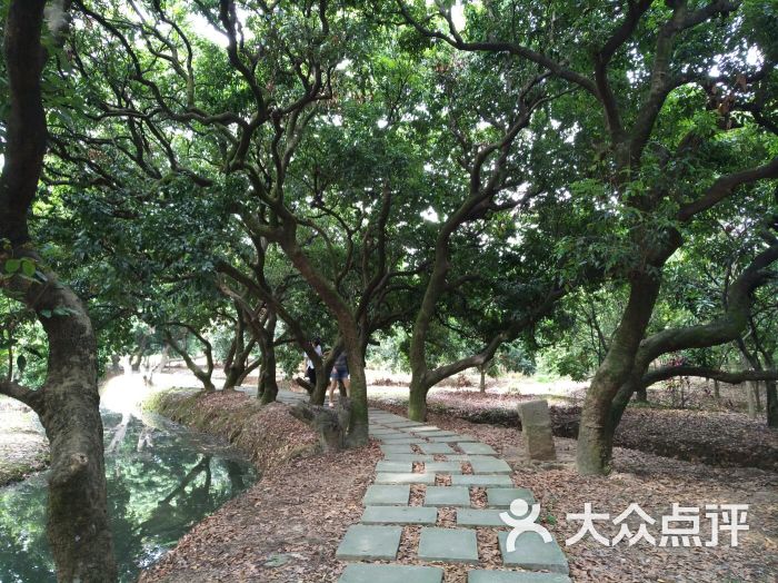 上涌果树公园-图片-广州周边游-大众点评网