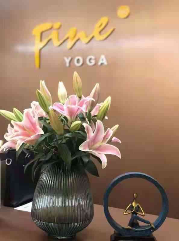 fineyoga 梵音瑜伽(新天地无限极荟店)