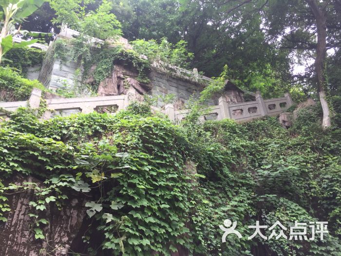 龙泉山公园-图片-余姚周边游-大众点评网