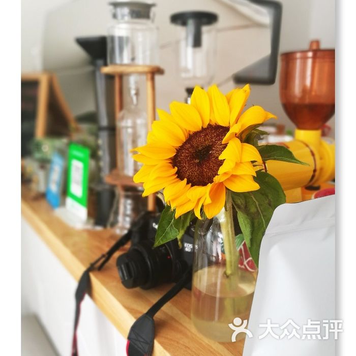 coffee            zinhyo5           哈蕾露呀m           传说中的