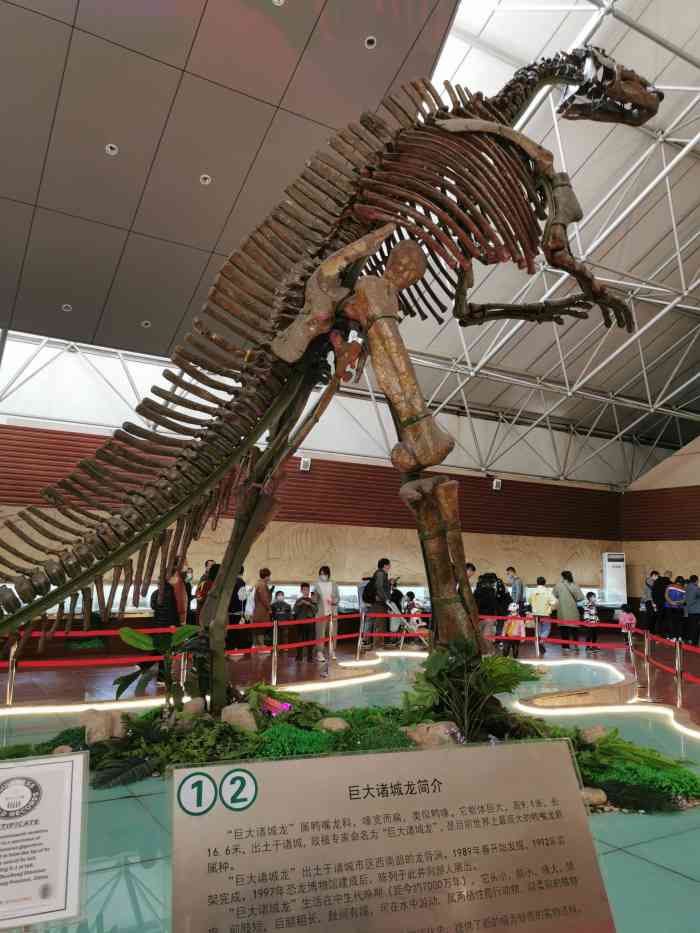 恐龙博物馆-"诸城以恐龙化石而闻名,恐龙博物馆是来.
