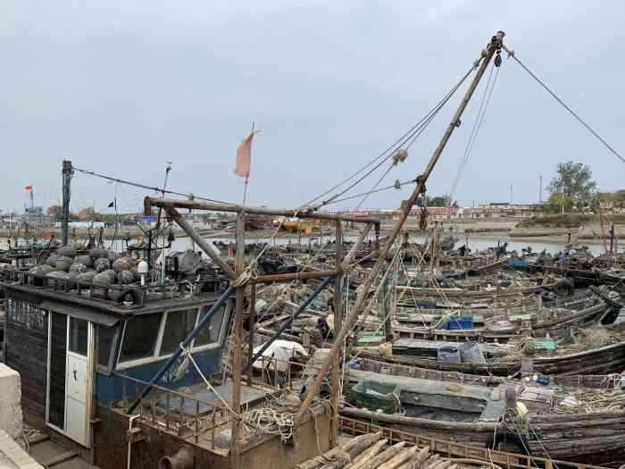 任家台海鲜市场"码头上,大量新鲜的扇贝,海虹以及海蛎子等.