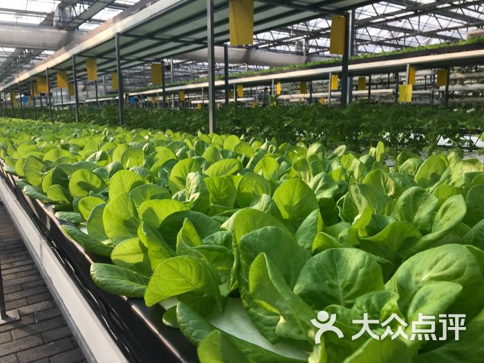 国家农业科技展示园图片 - 第34张