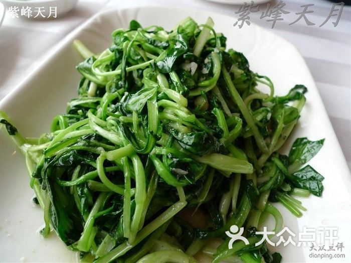 今天假日酒店_今天要来点兔子吗图片_今天假日海鲜