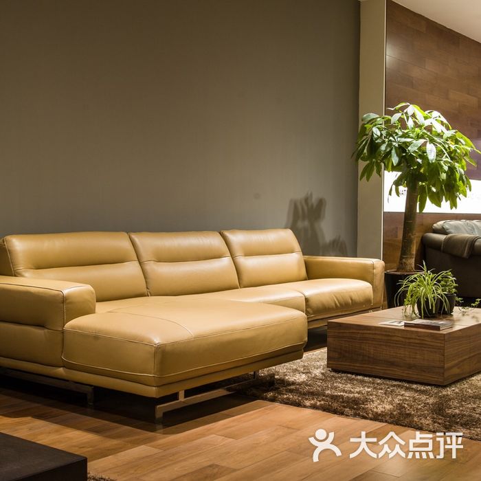 natuzzi editions 意迪森