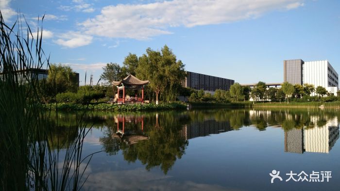 北京建筑大学(大兴校区)湖图片 - 第4张
