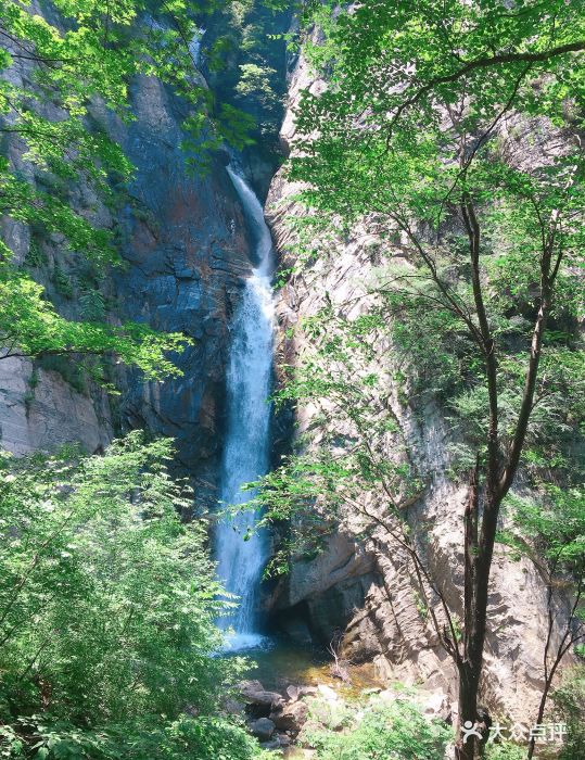 太平国家森林公园-图片-鄠邑区周边游-大众点评网