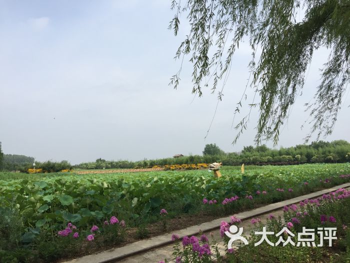 兰陵国家农业公园图片 - 第7张