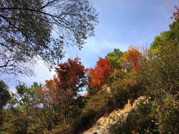 喇叭沟原始森林公园-"喇叭沟门原始森林风景区,在怀柔