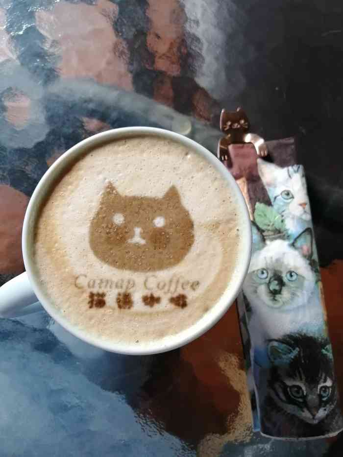 catnap coffee猫语咖啡-"去过好几次了才发现有团购诶