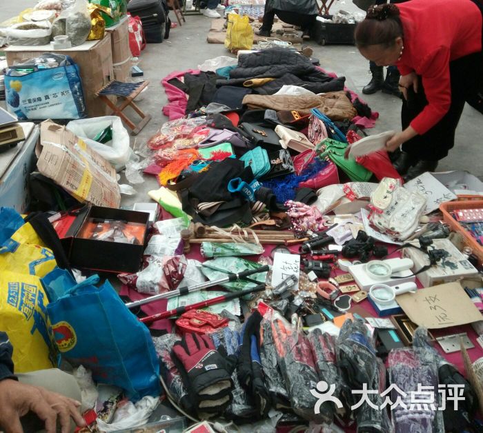 杨浦公园花鸟市场图片 - 第17张