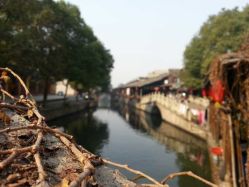 安昌古镇属于什么区 9diH9dMOezvT17P8KBhobTISk_fnkipvgcR111BIIeKkup4D4u3bh3z1TXilkN0Q.jpg